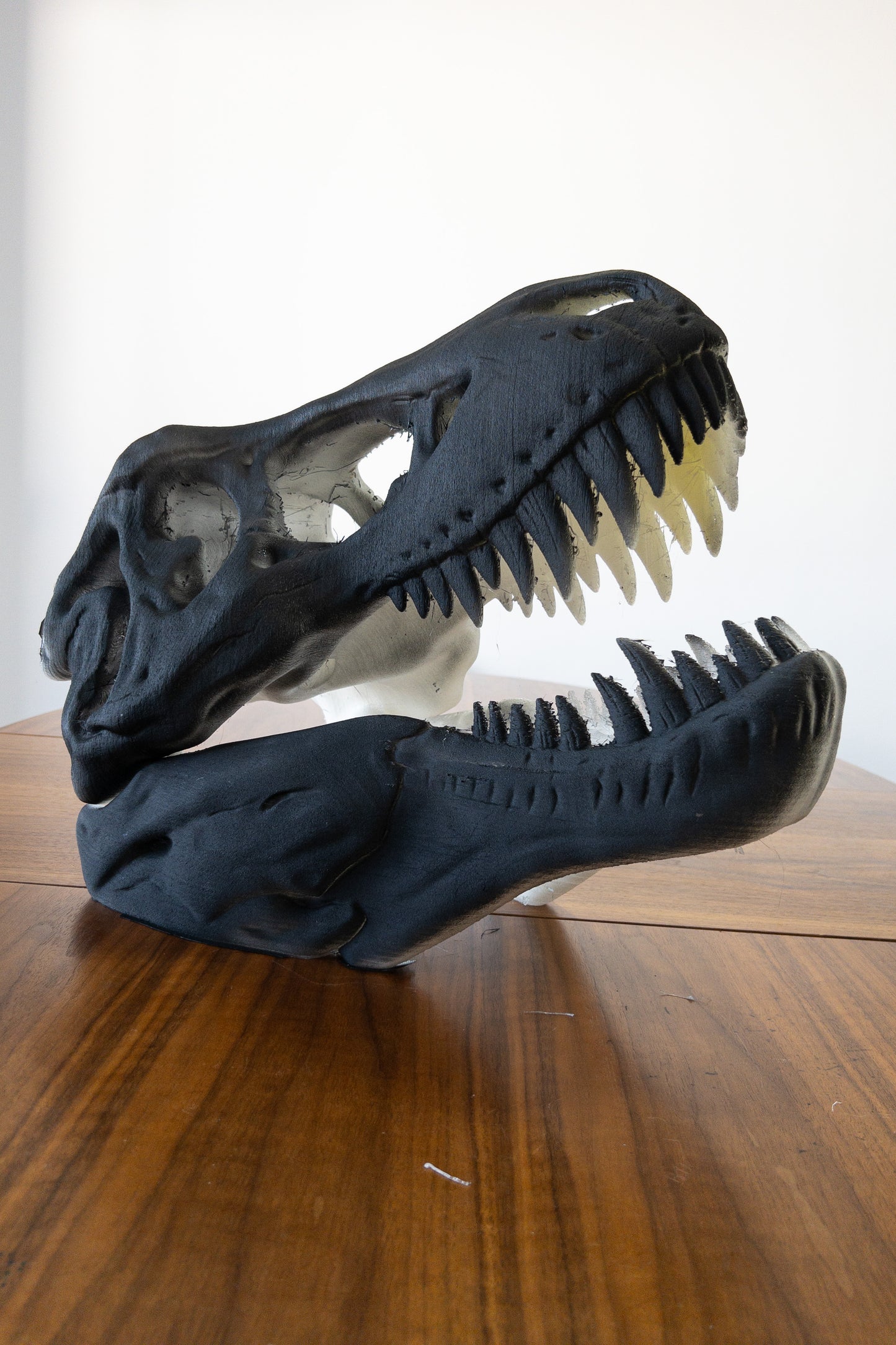 The T-Rex Skull