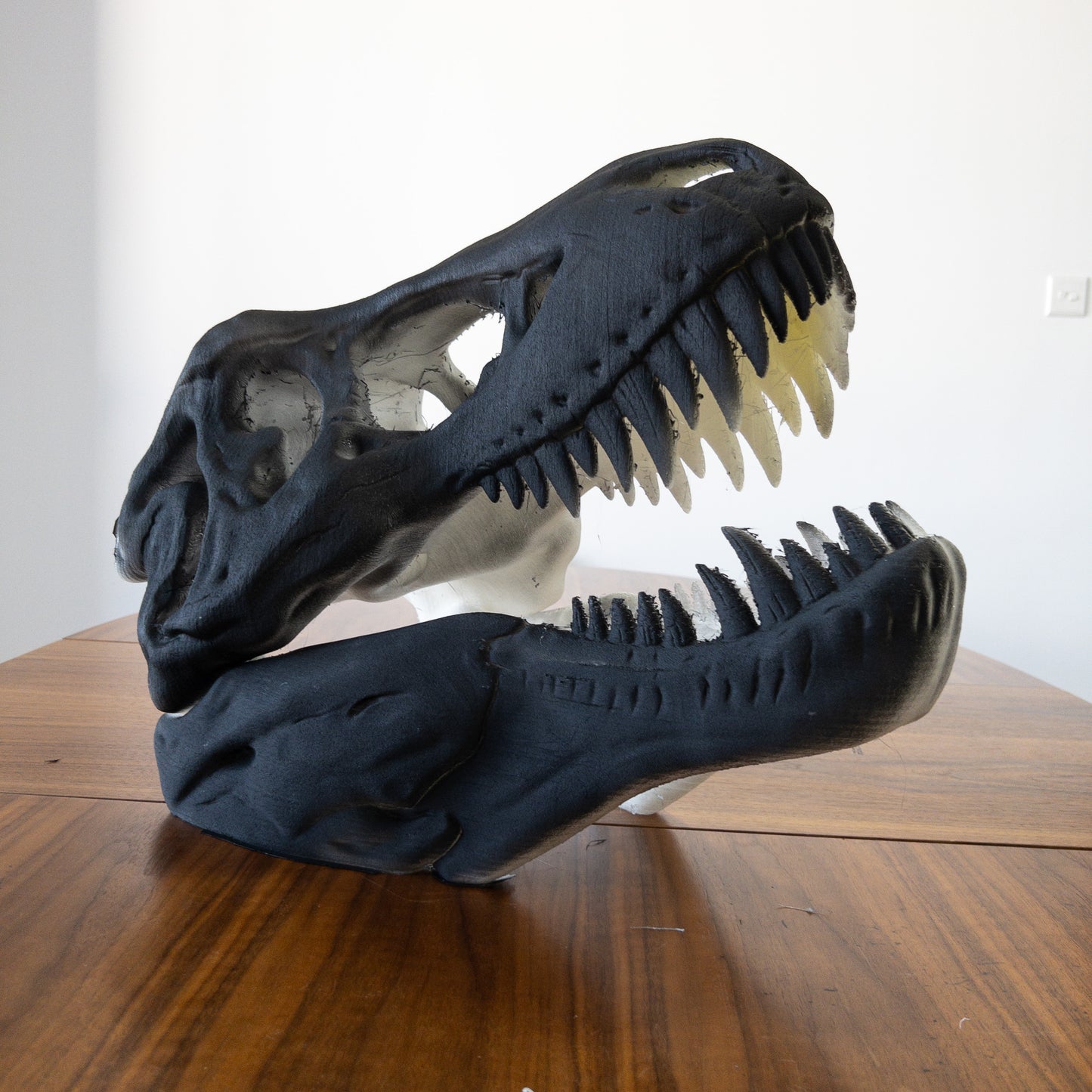 The T-Rex Skull