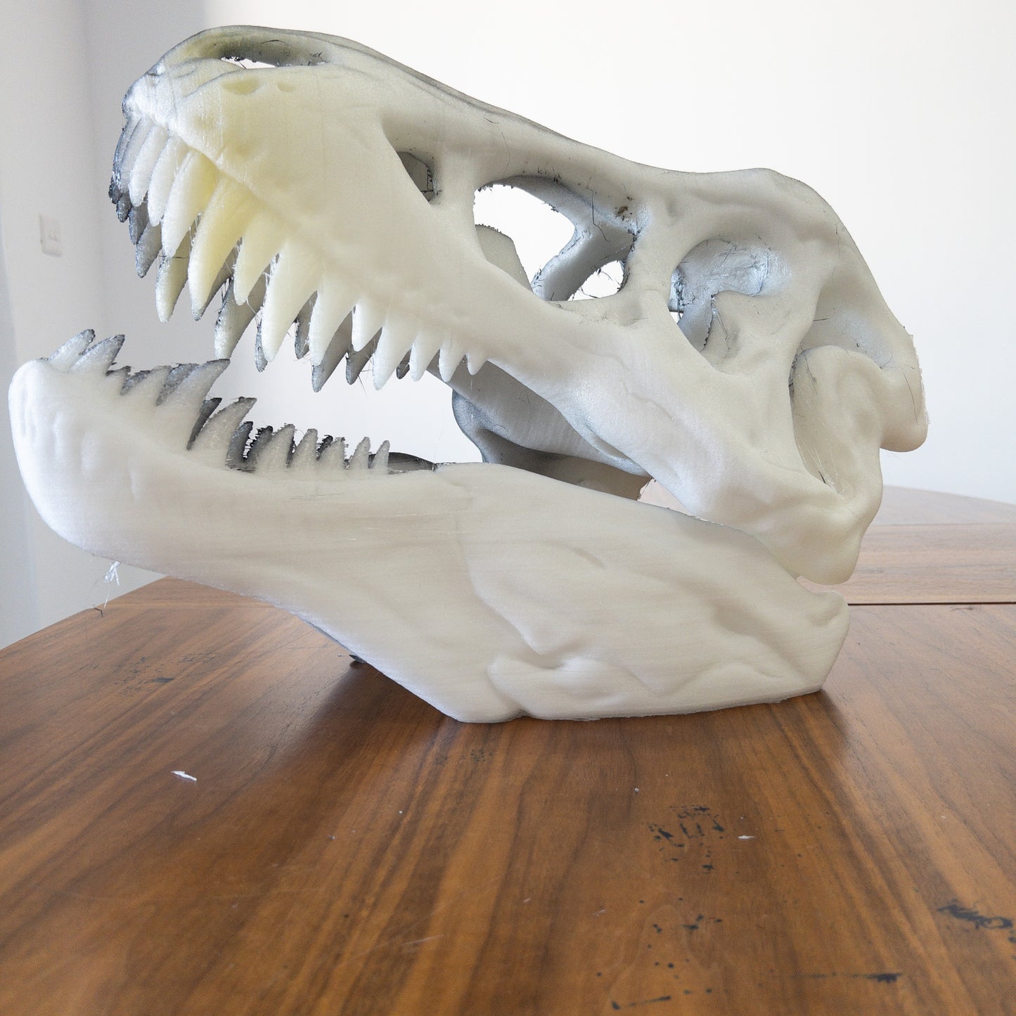 The T-Rex Skull