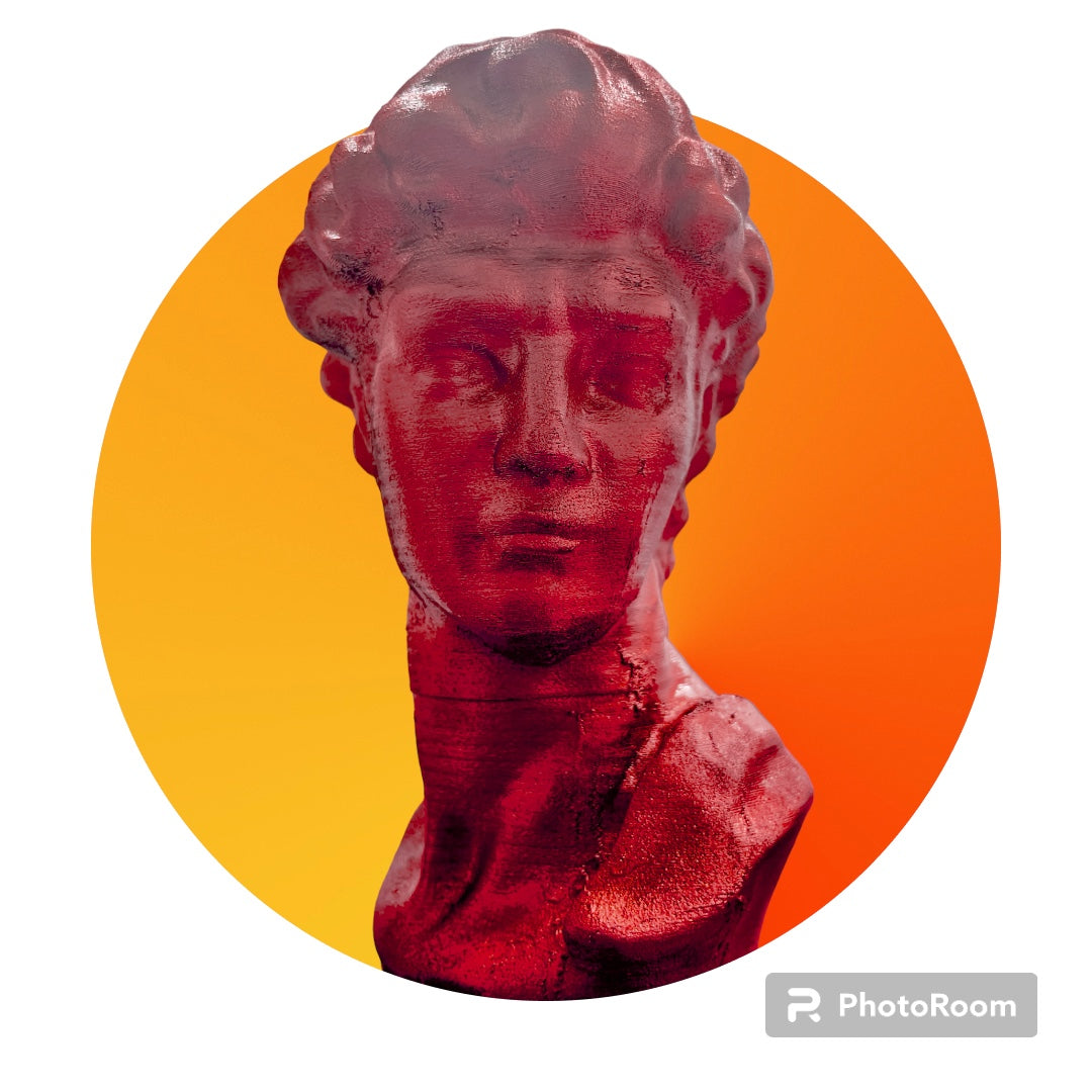 David Bust with custom color