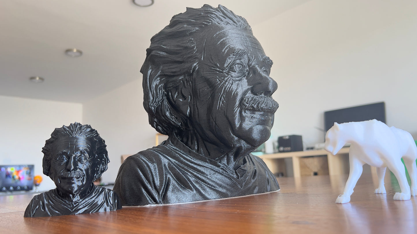 The Albert Einstein Bust