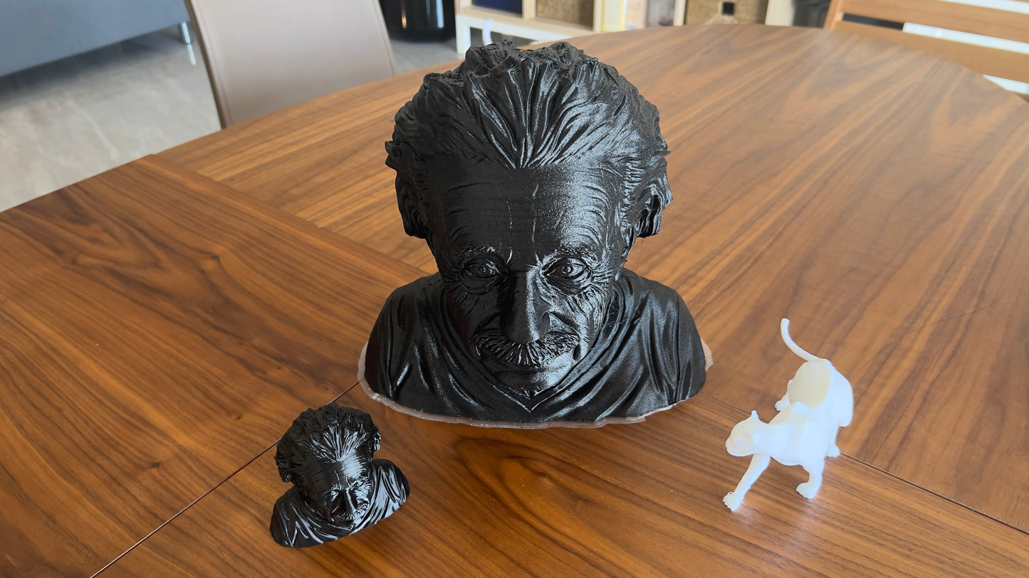 The Albert Einstein Bust