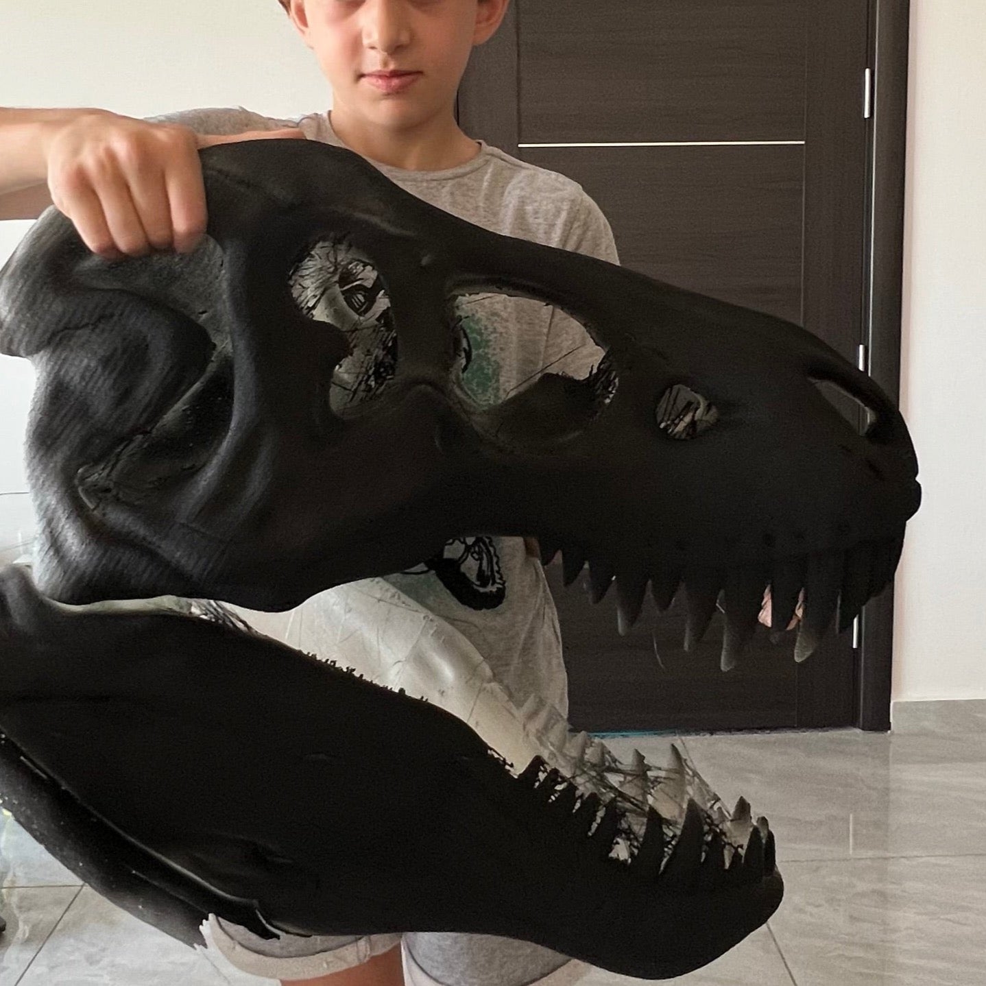 The T-Rex Skull