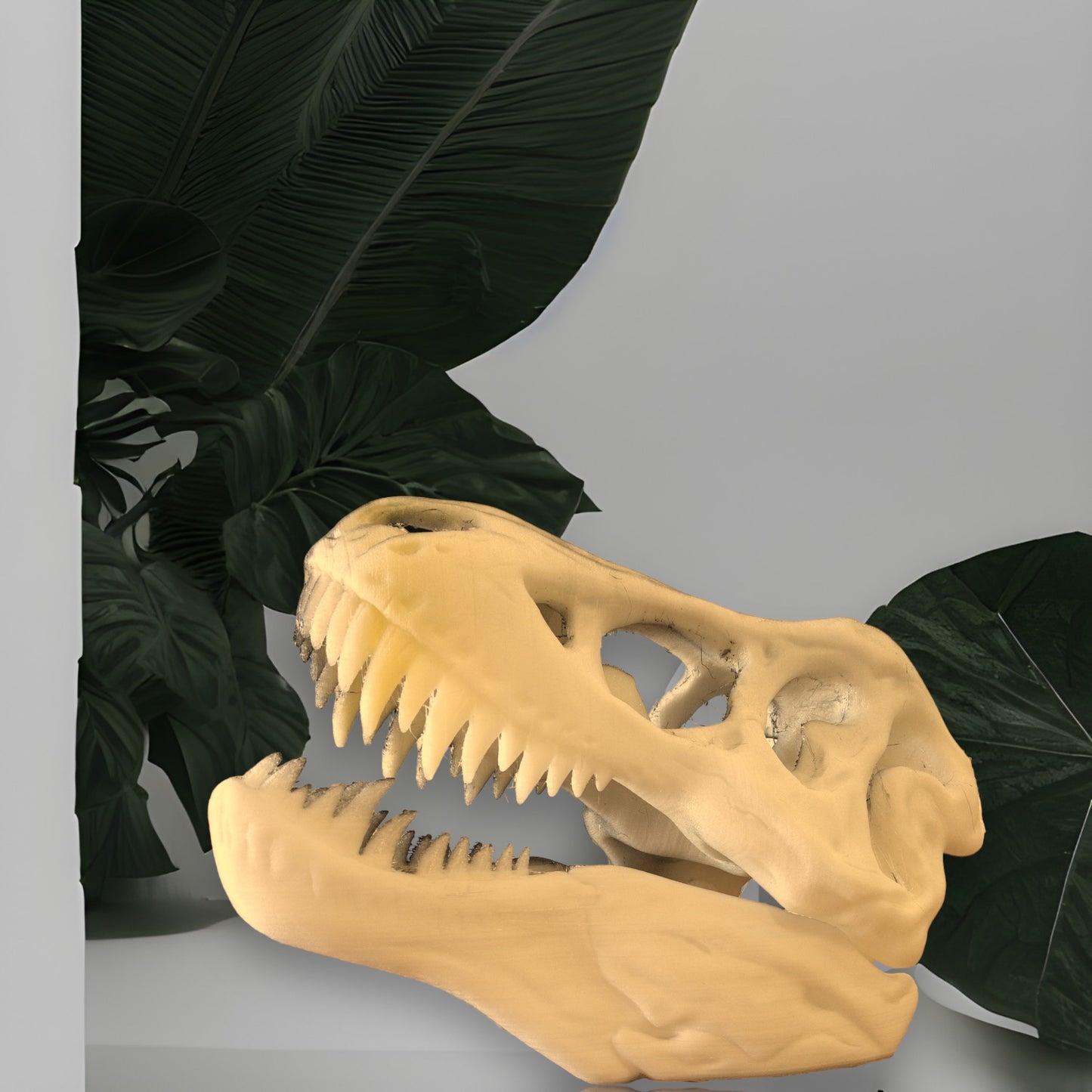 The T-Rex Skull