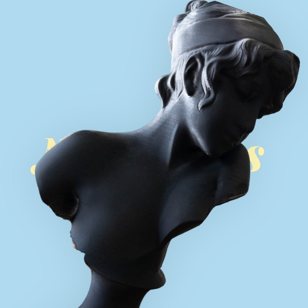 Bust of Sappho 3d Printed greek Bust Home decor art