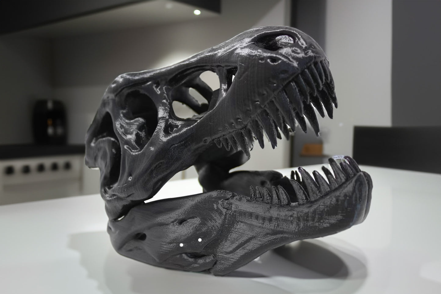 The T-Rex Skull